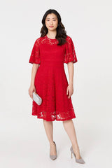 Lace Overlay Knee Length Skater Dress
