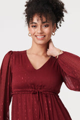 Sparkly Semi Sheer Long Sleeve Midi Dress